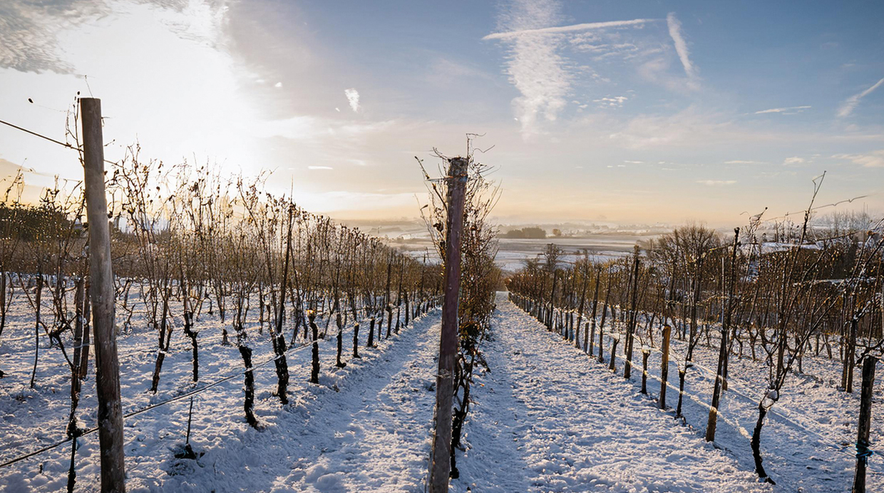 1 (copy) (copy) (copy)